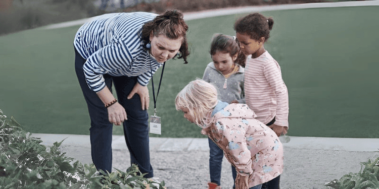 The Role of Curiosity and Exploration in Fostering Creative Learning