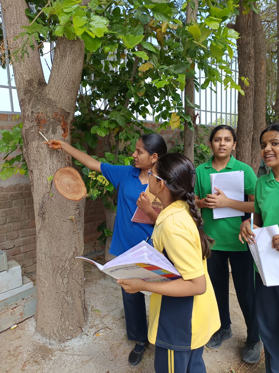 Activity - Explore Nature 